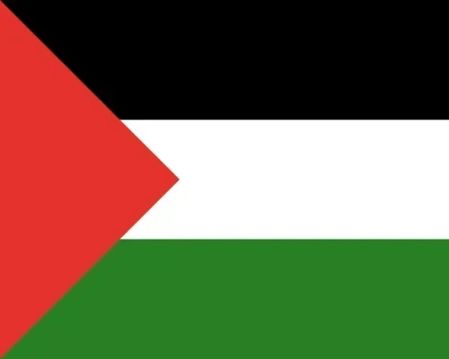 Palestine Flag